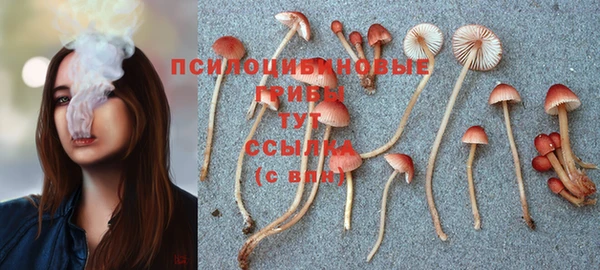 молекула духа Балахна