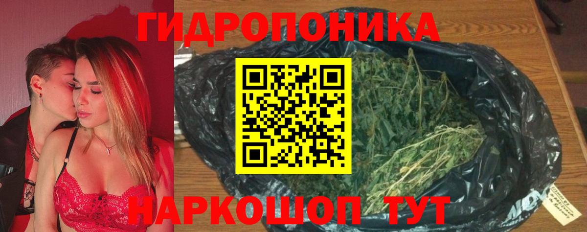 Бошки Шишки сатива Вязьма